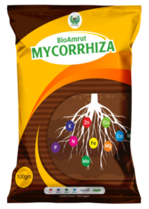 Mycorrhiza (New)